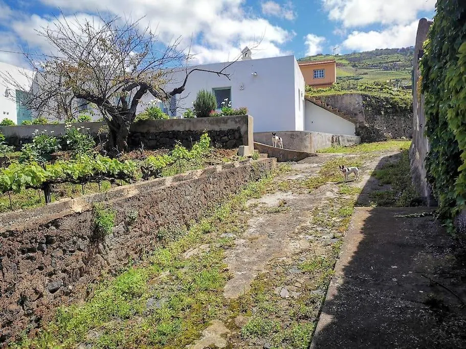 산타크루스데 테네리페 Casa Entre Vinedos 빌라 스페인