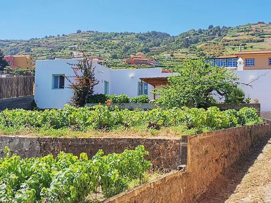 Casa Entre Vinedos Βίλα Σάντα Κρουζ Τενερίφης