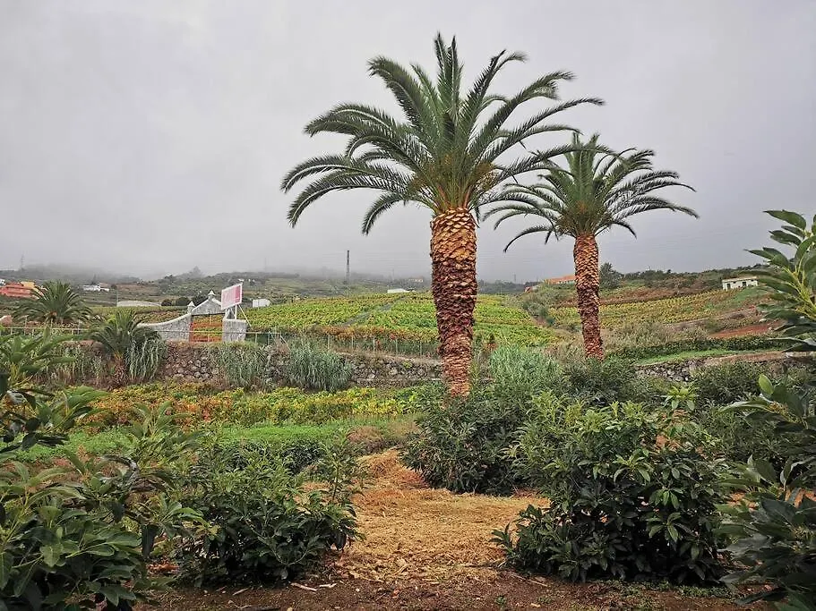 Casa Entre Vinedos Βίλα Σάντα Κρουζ Τενερίφης 0*,