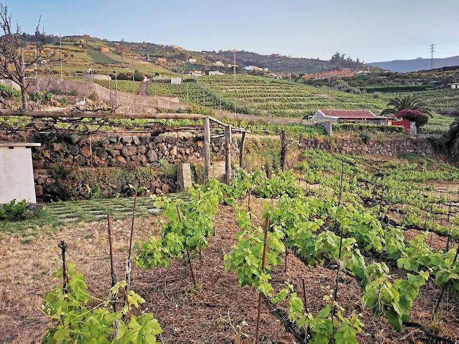 산타크루스데 테네리페 Casa Entre Vinedos 빌라 펜션