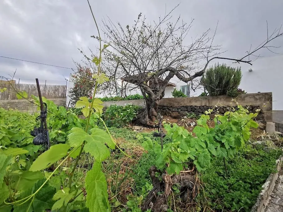 Σπίτι διακοπών Casa Entre Vinedos Βίλα Σάντα Κρουζ Τενερίφης
